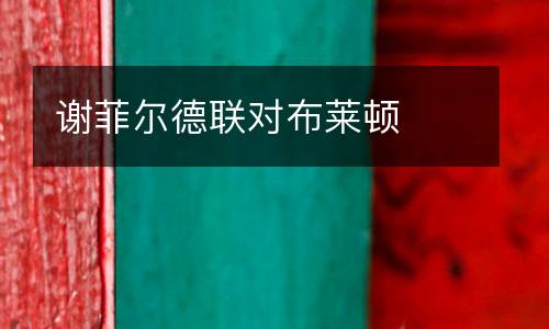 謝菲爾德聯(lián)對(duì)布萊頓