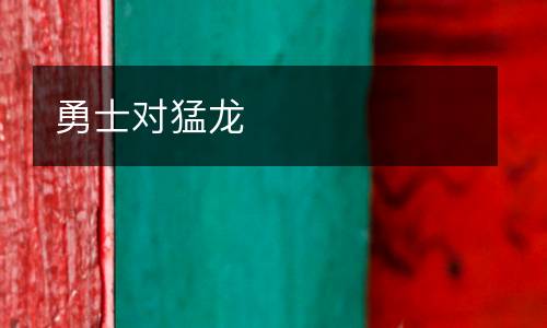 勇士對(duì)猛龍