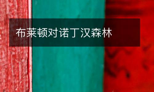 布萊頓對(duì)諾丁漢森林